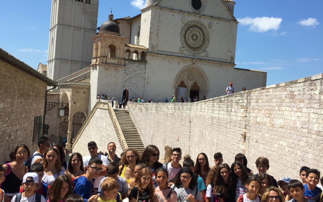 Campo estivo 2018