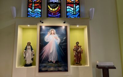 Domenica della Misericordia